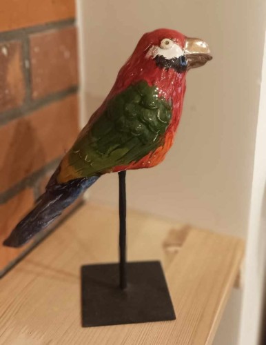 papuga mała czerwona 1