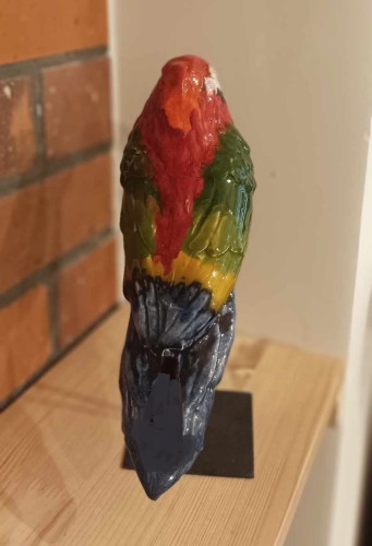 papuga mała czerwona 3