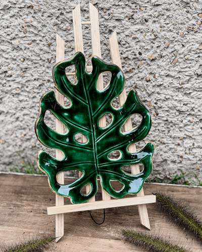 monstera butelkowa zieleń 2