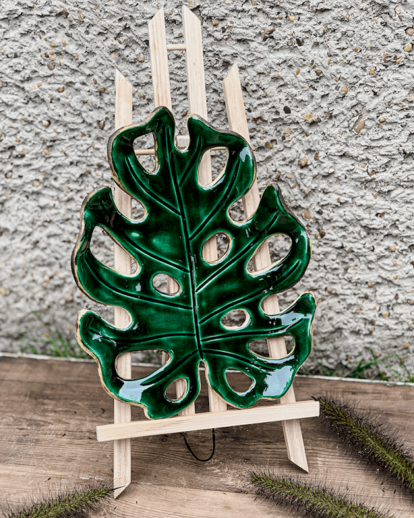 monstera butelkowa zieleń 2