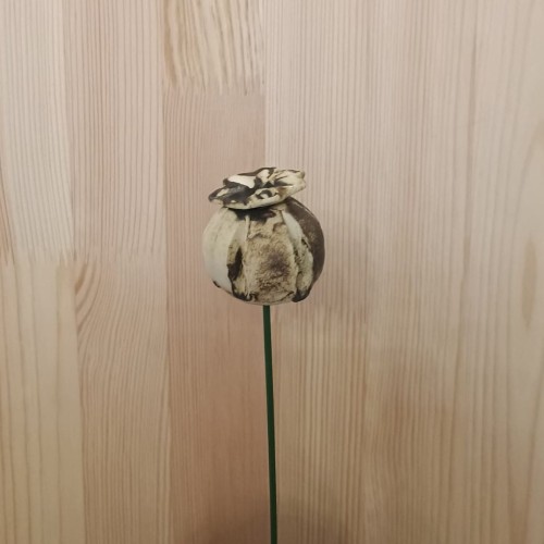 makówka ceramiczna naturalna.jpeg