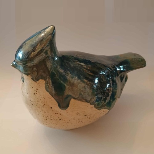 ptak siedzący z czubem duży