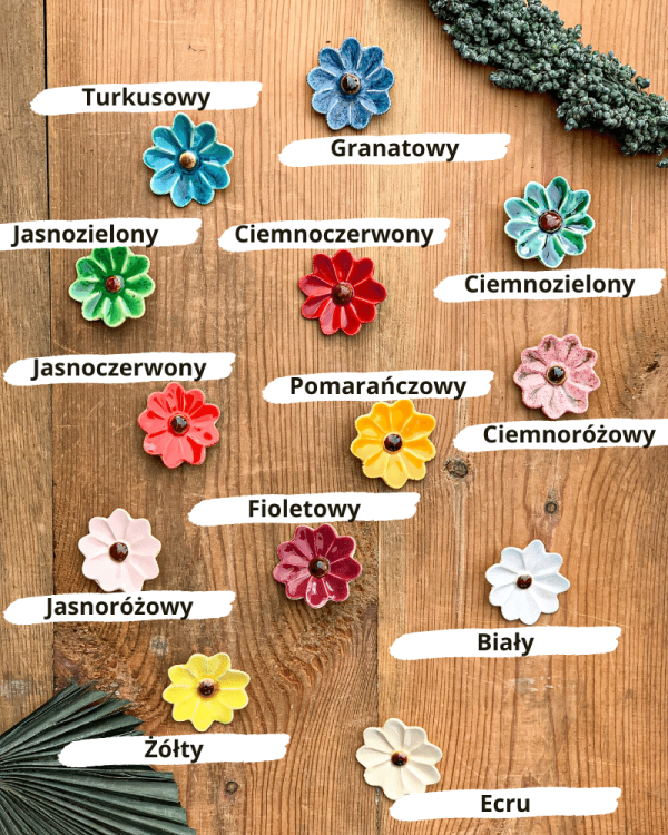 margaretki kolorystyka